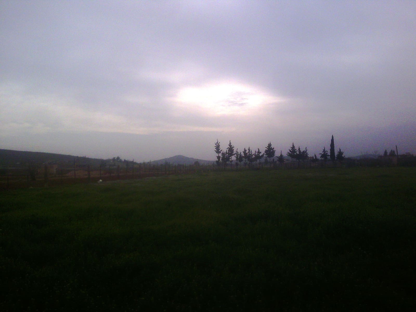 بساتين داريا جنوب غرب دمشق في صباح ضبابي من شتاء 2010.